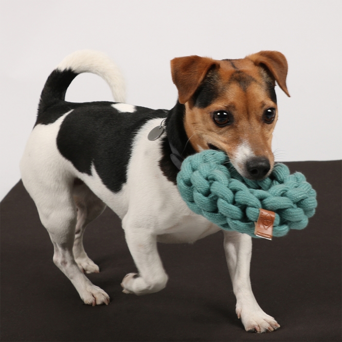 4047059480328_sc2_webl-1